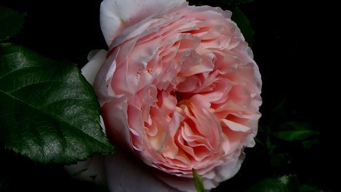 DSC02505