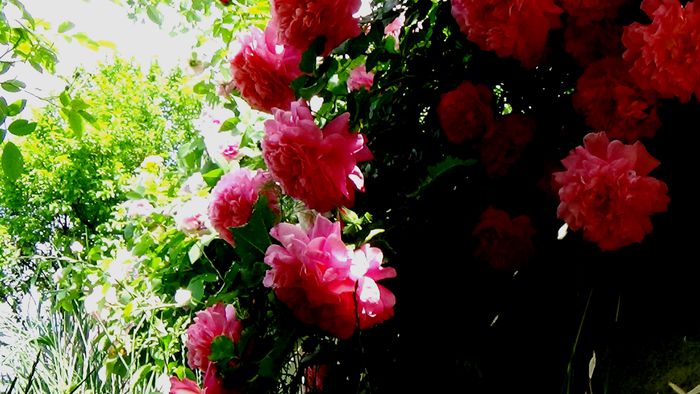 DSC02577