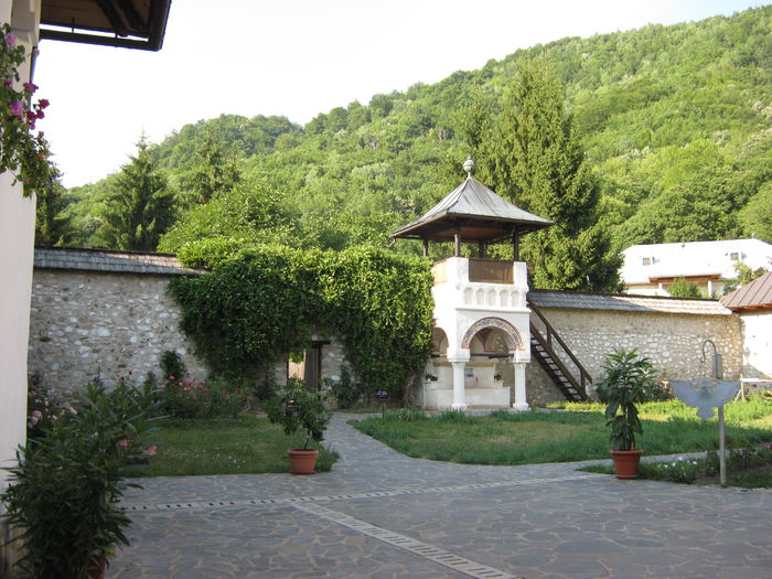 IMG_0399 - Vacanta-iulie-2015