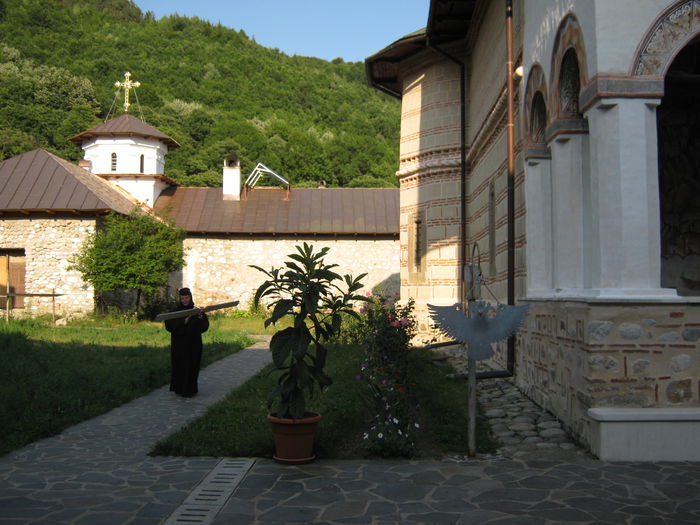 IMG_0403 - Vacanta-iulie-2015