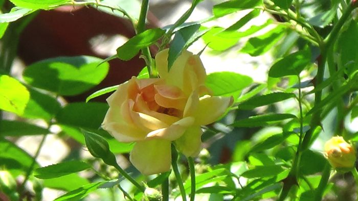 DSC02754
