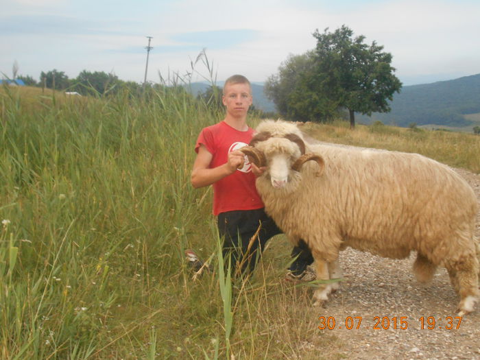 Picture 005 - Berbeci 2o14-2015
