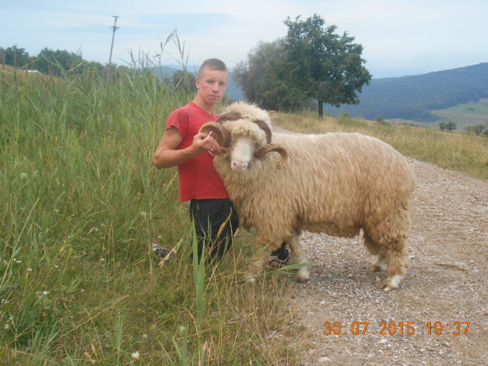 Picture 006 - Berbeci 2o14-2015