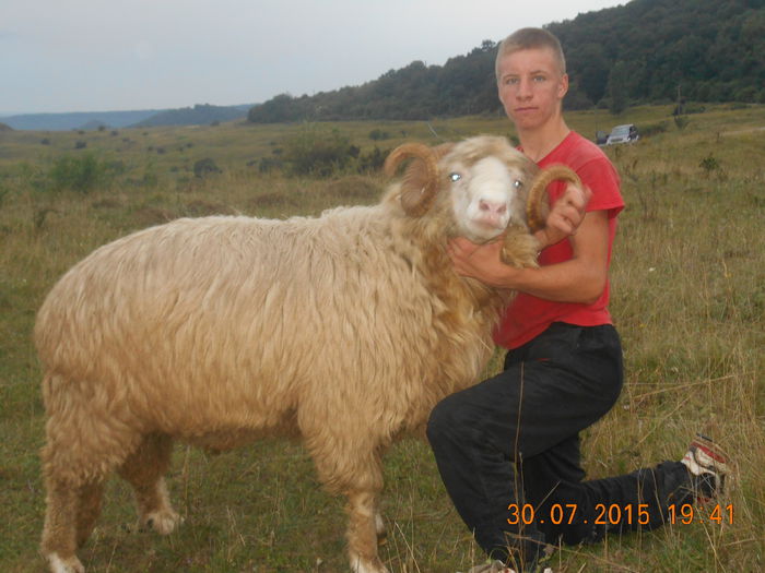 Picture 013 - Berbeci 2o14-2015