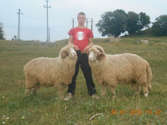 Picture 019 - Berbeci 2o14-2015