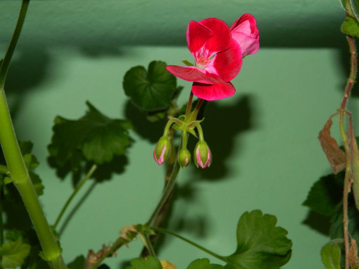 DSCN2876
