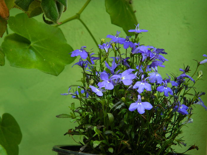 DSCN3122