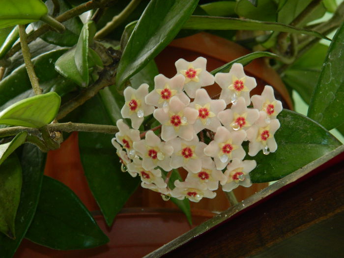 DSCN3158