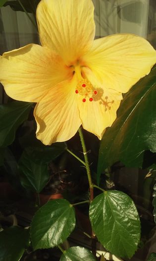 20150719_082449