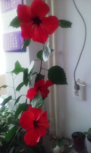 20150704_090157