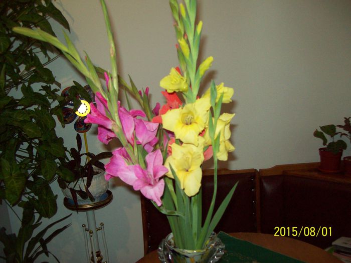 103_4909 - Aranjamente florale