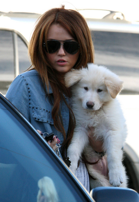 normal_001 - miley cyrus candids 2010