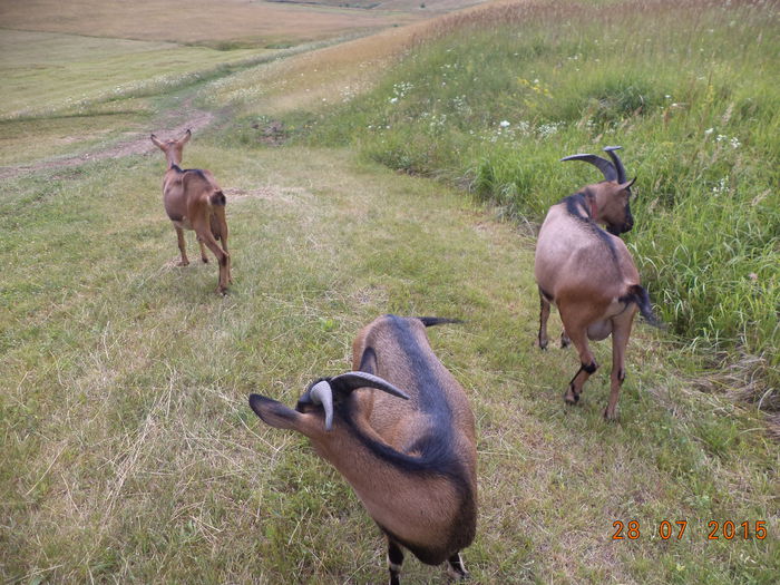 Noroc ca a mai plouat