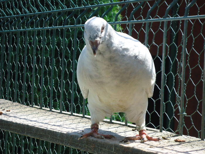 10643