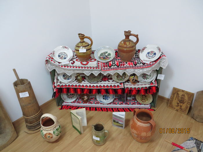 IMG_3110 - Costesti 2015