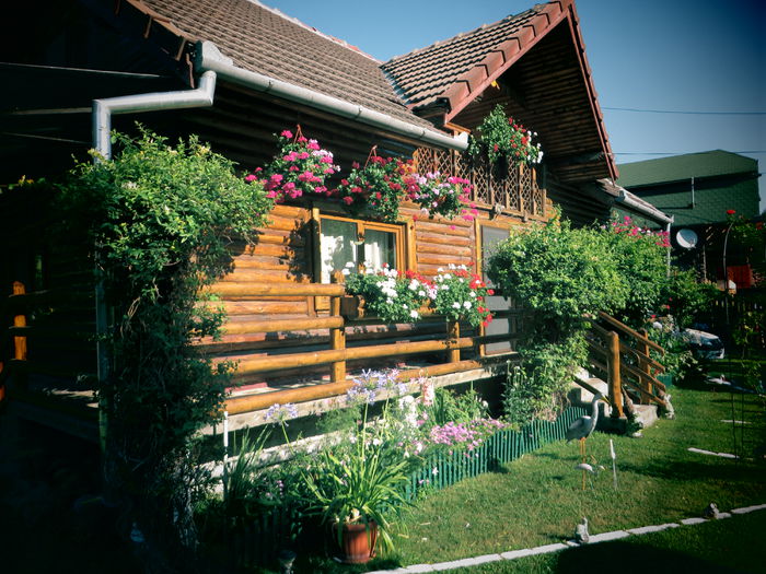 IMG_3125 - Costesti 2015