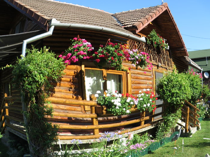 IMG_3128 - Costesti 2015