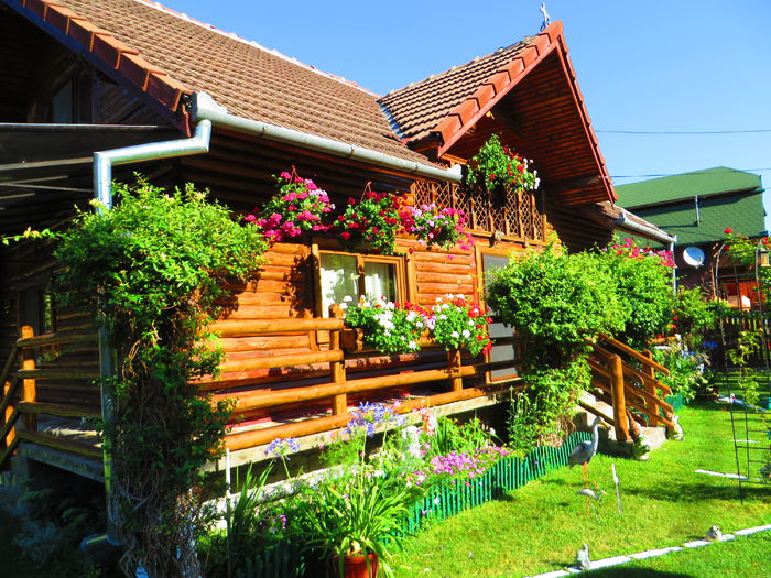 IMG_3129 - Costesti 2015