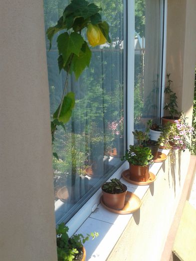 20150607_122304