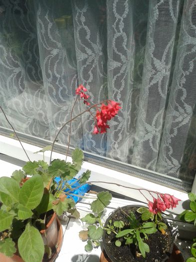 20150607_122318
