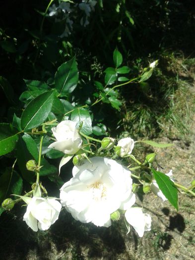 20150607_122433