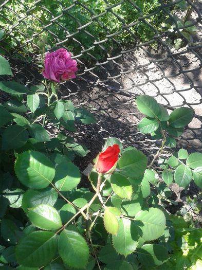 20150607_122507