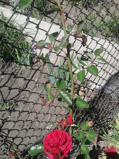 20150607_122541