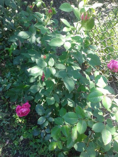 20150607_122613