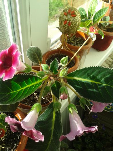 20150608_073301