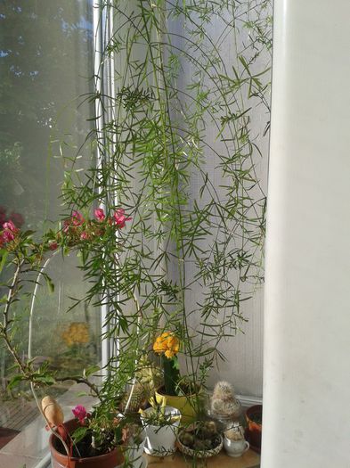 20150608_073313