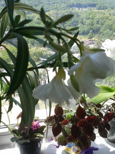 20150608_144235