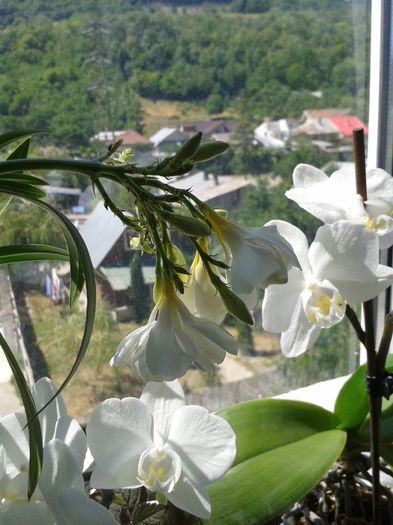 20150608_144303
