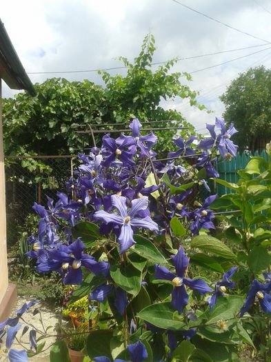 20150628_115318