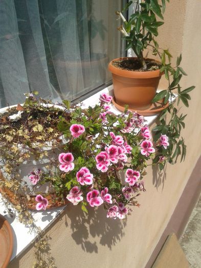 20150628_115337
