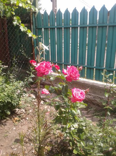 20150628_115351