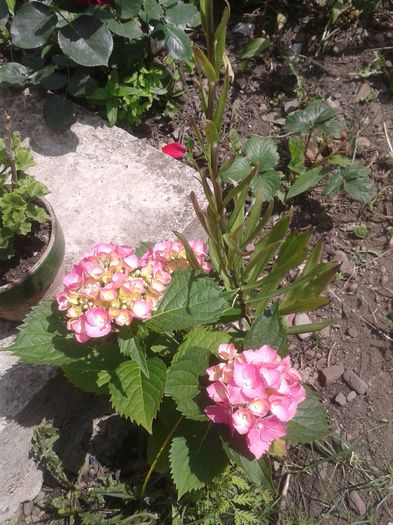 20150628_115406