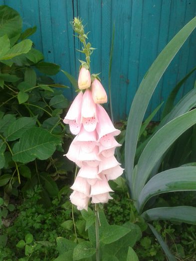 20150628_115513