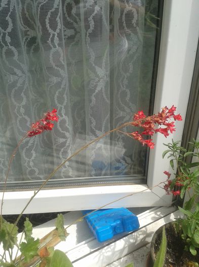 20150628_115534