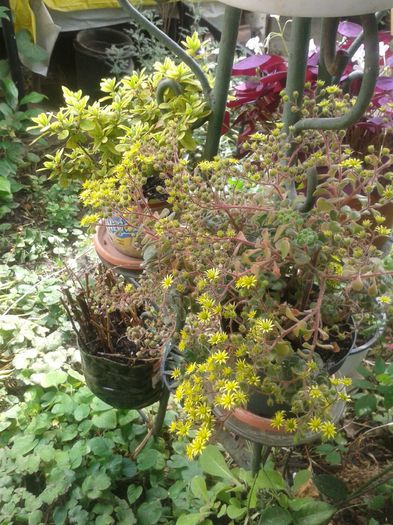 20150628_115549