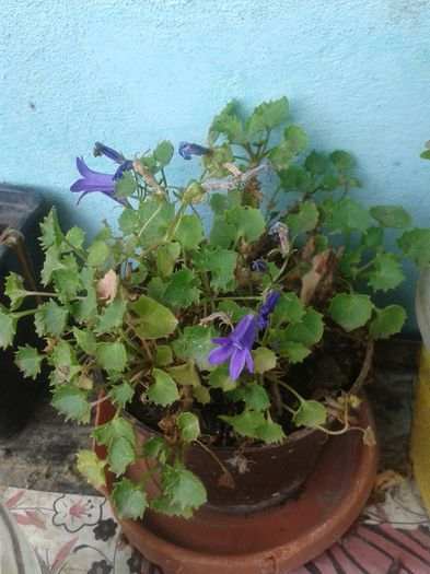 20150628_115613