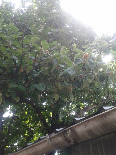20150628_120043