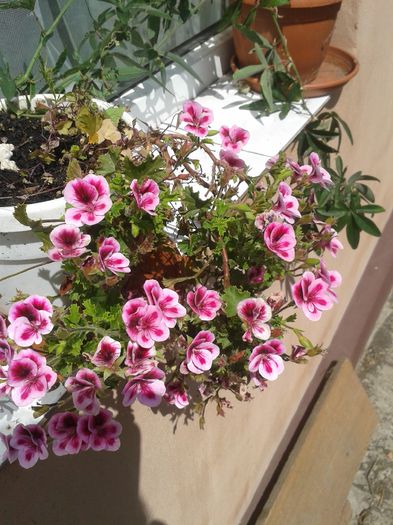 20150705_112157
