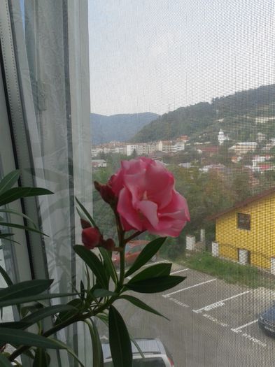 20150730_100354