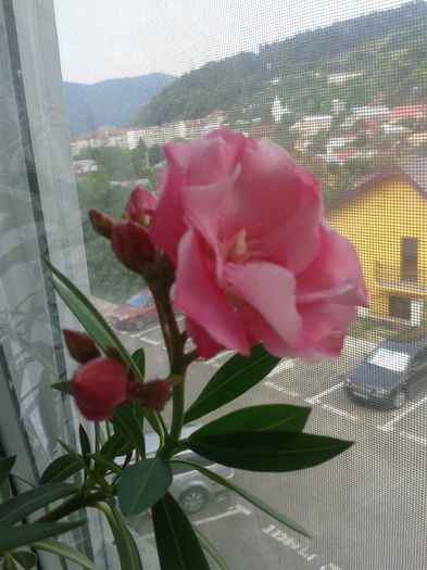 20150730_100401