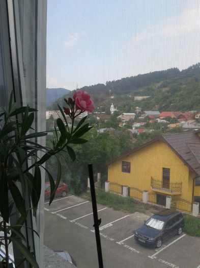 20150730_100413