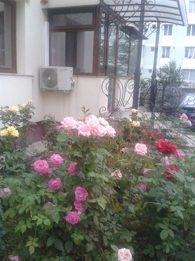 20150731_184225