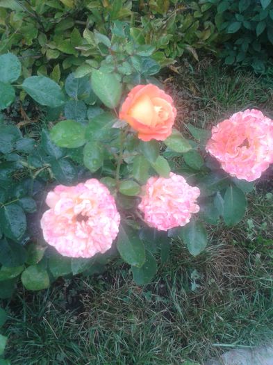 20150731_184238