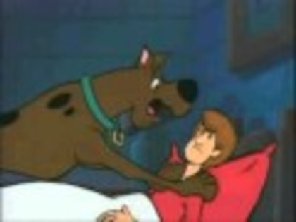 default[4] - scooby doo