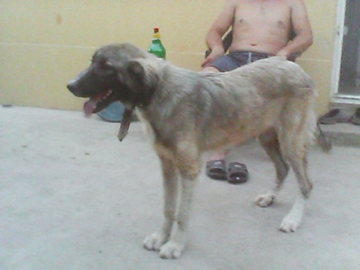 IMG00190