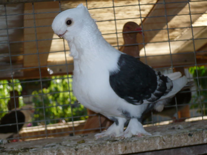 P1080575